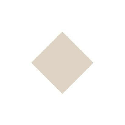 Premium Nail Lacquer CRÈME BRULEE .