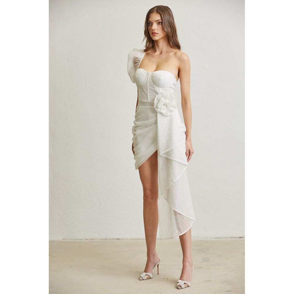 Alina Single Sleeve Dress .