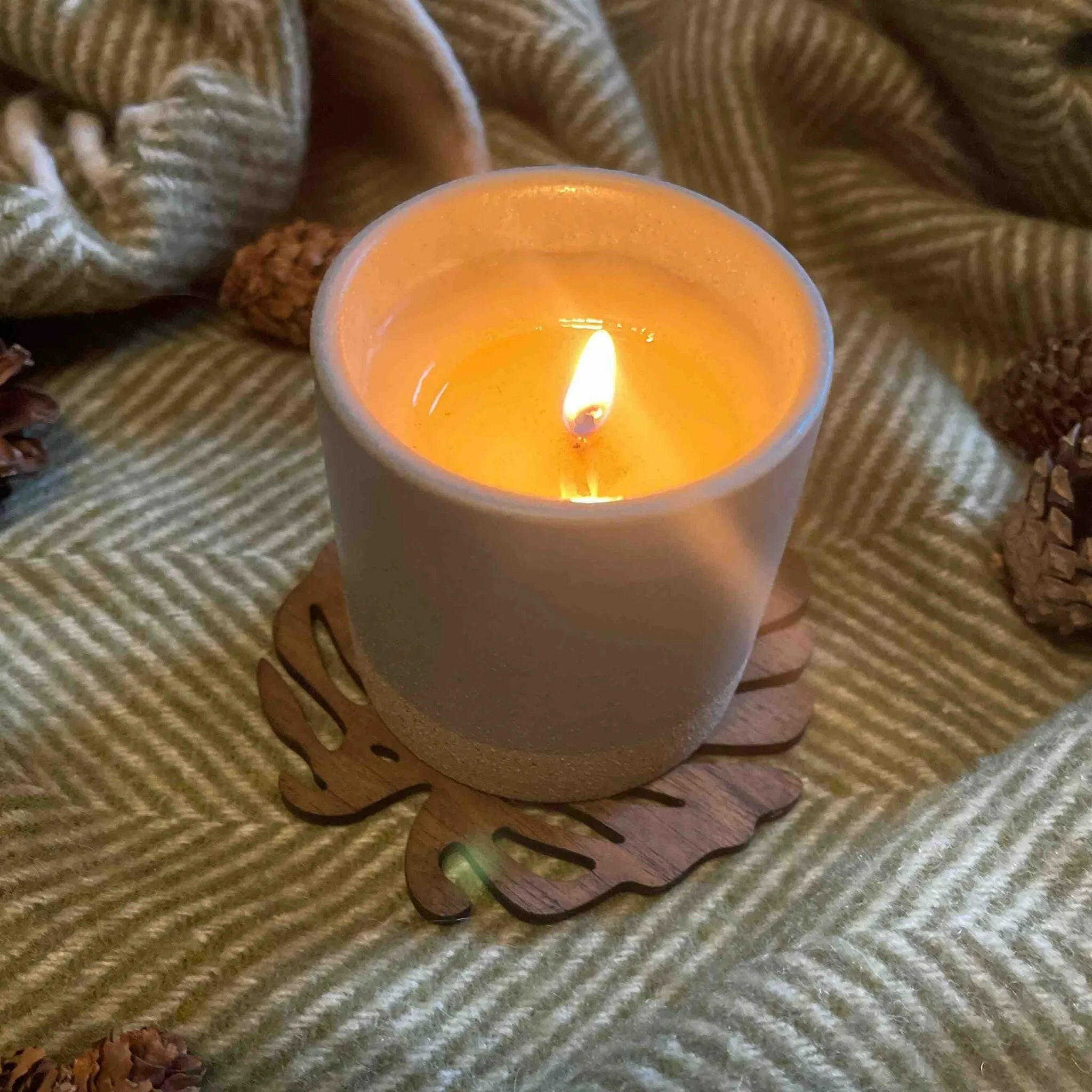 Monstera Upcycled Teak Wood Coasters.