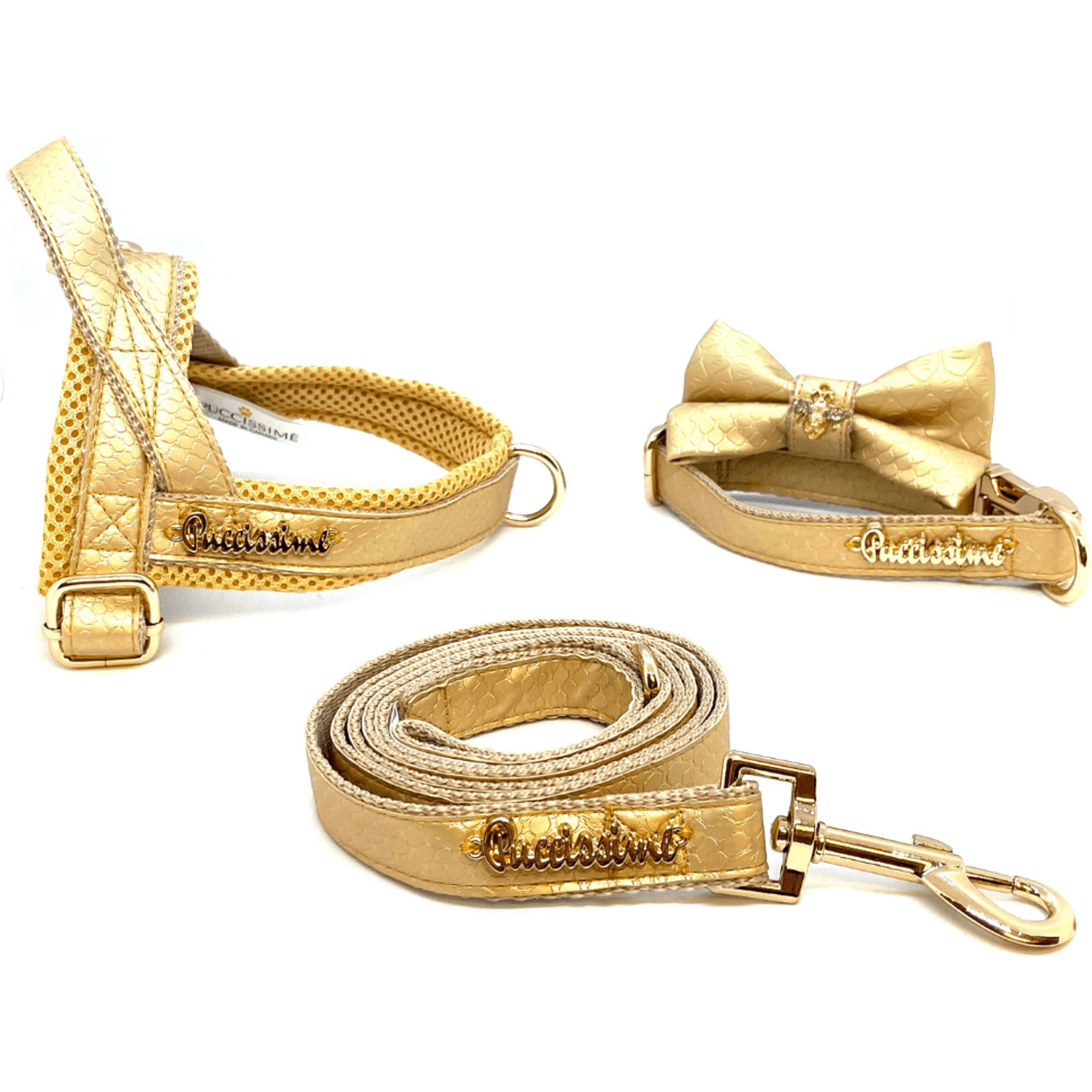 Aurelia Leash.