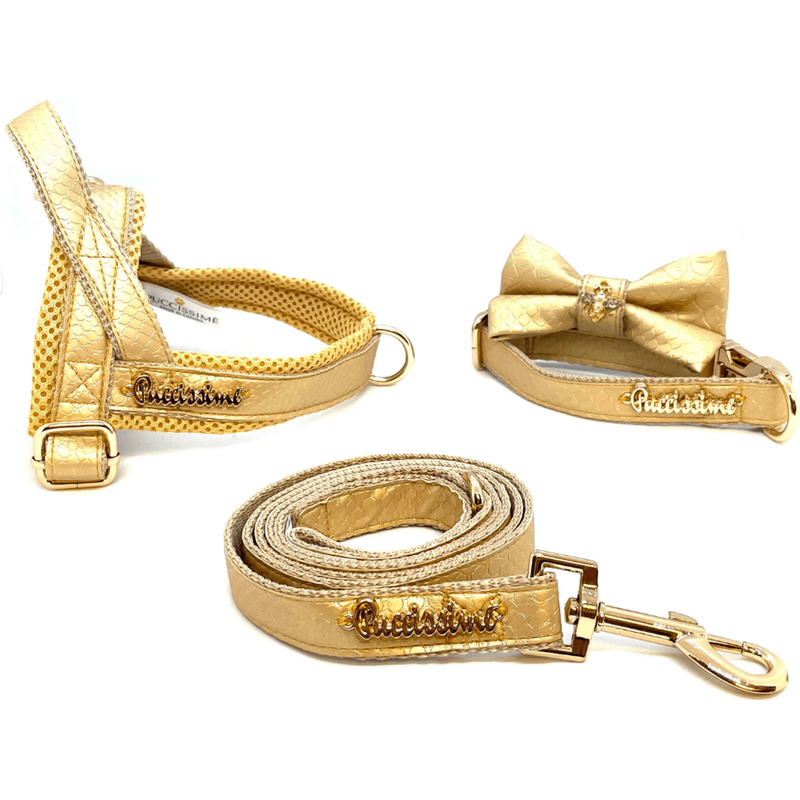 Aurelia Leash