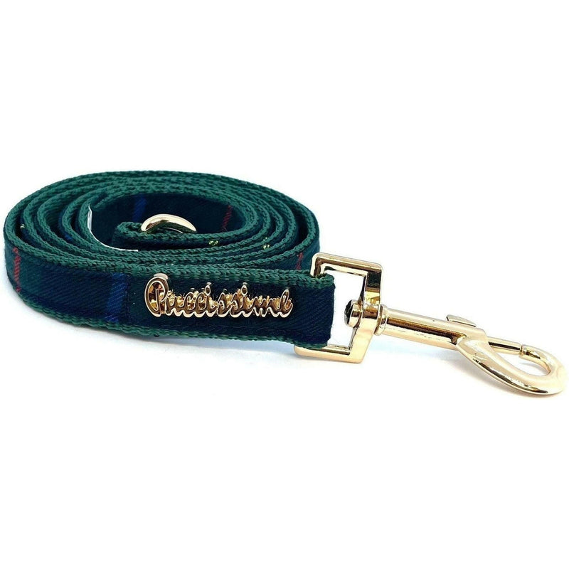 Barclay Leash