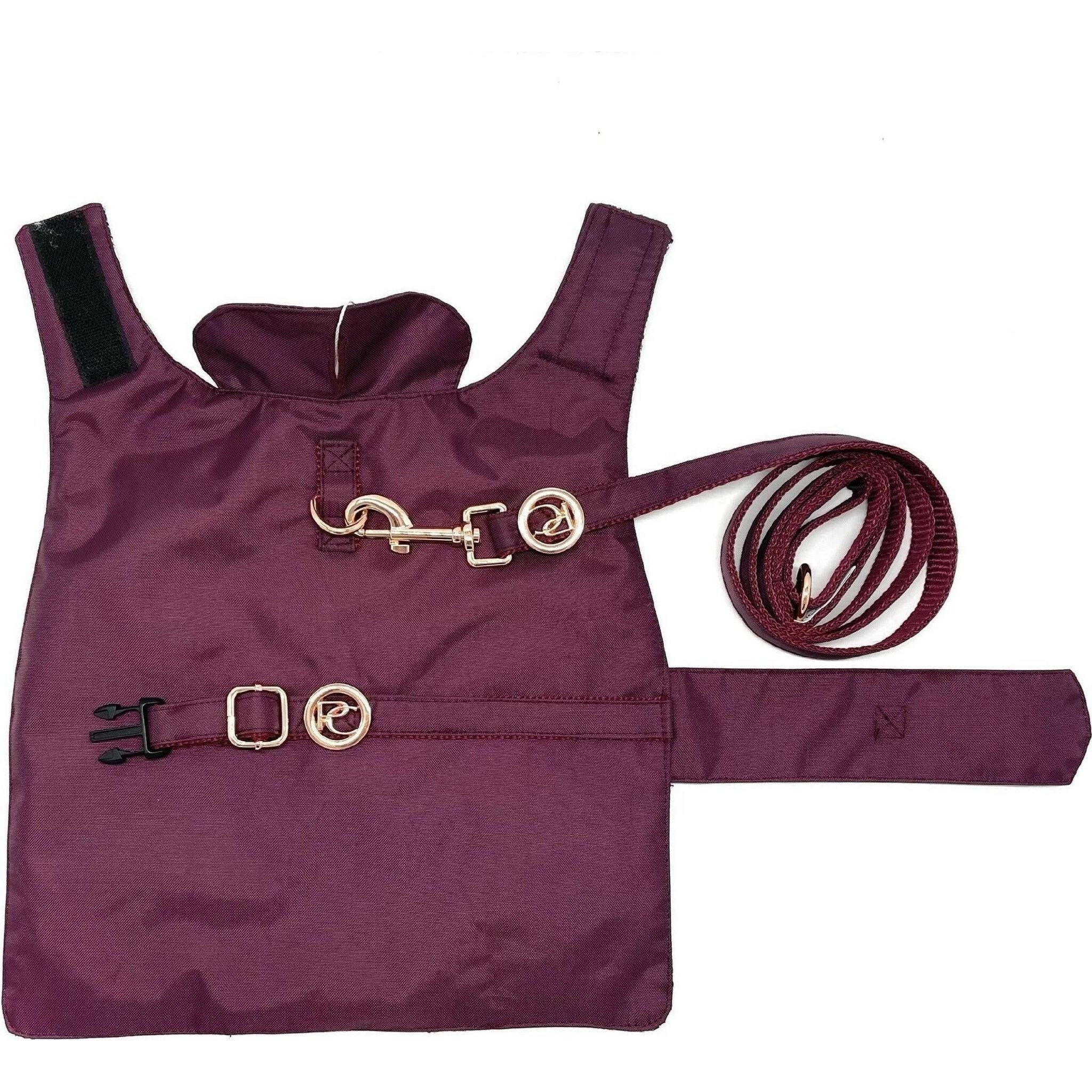 Burgundy Rain Matching Leash.