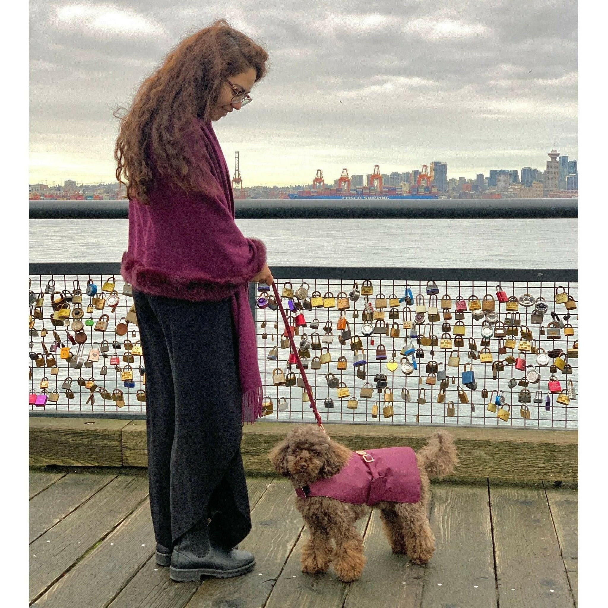 Burgundy Rain Matching Leash.