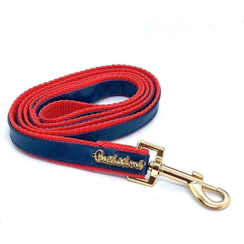 Cardinal Leash