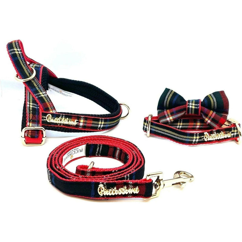 Carnegie Leash