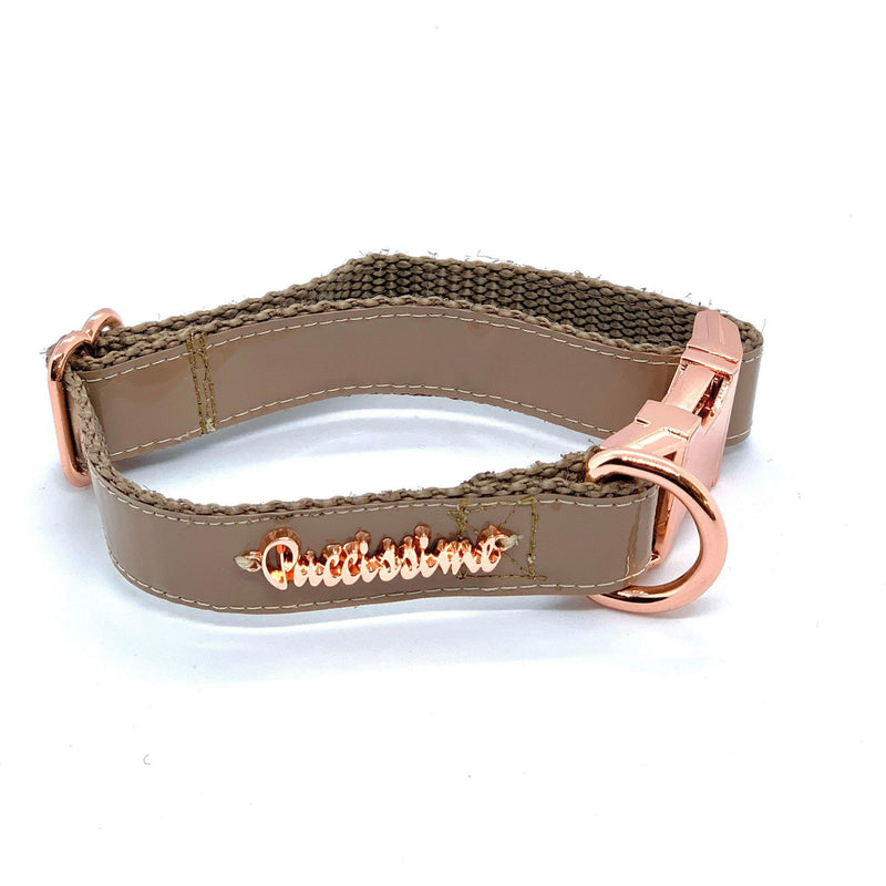 Champagne Dog Collar