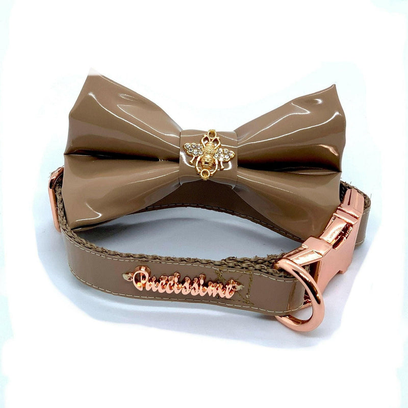 Champagne Dog Collar