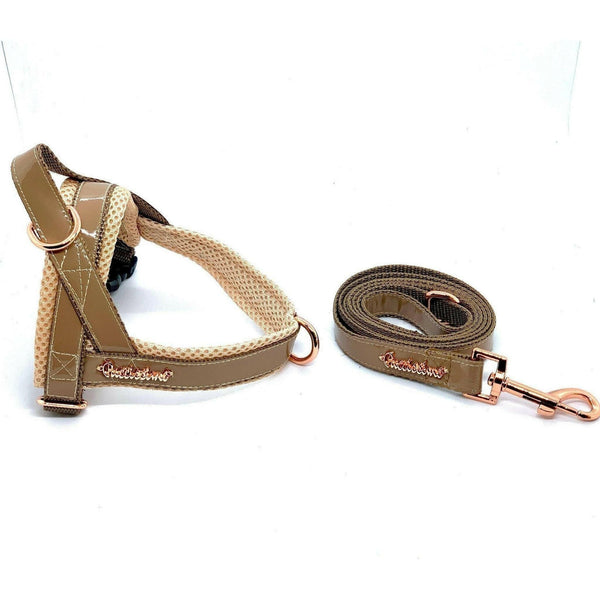 Champagne One-Click Dog Harness