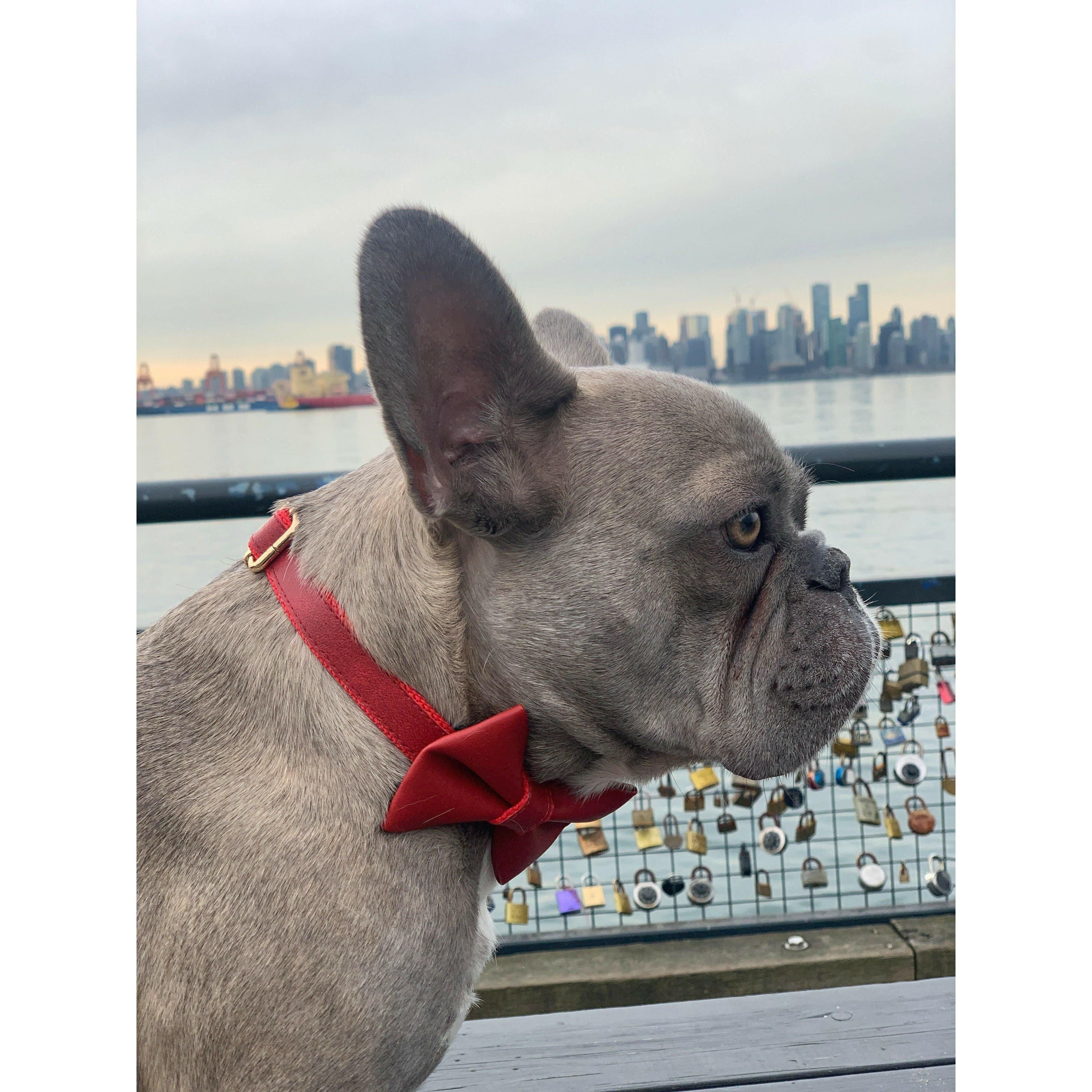 Cherry Red Leather Collar.