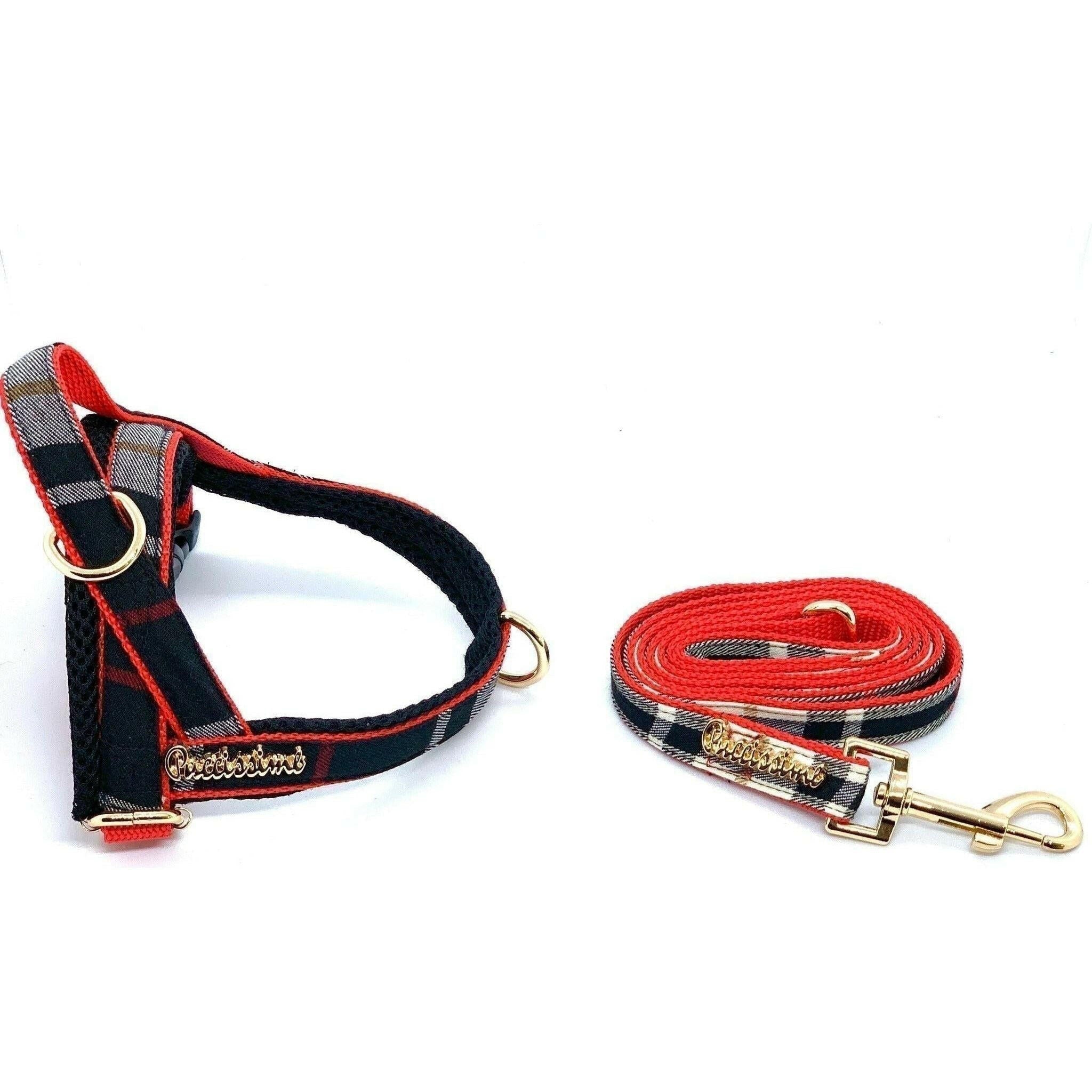 Collette Leash.