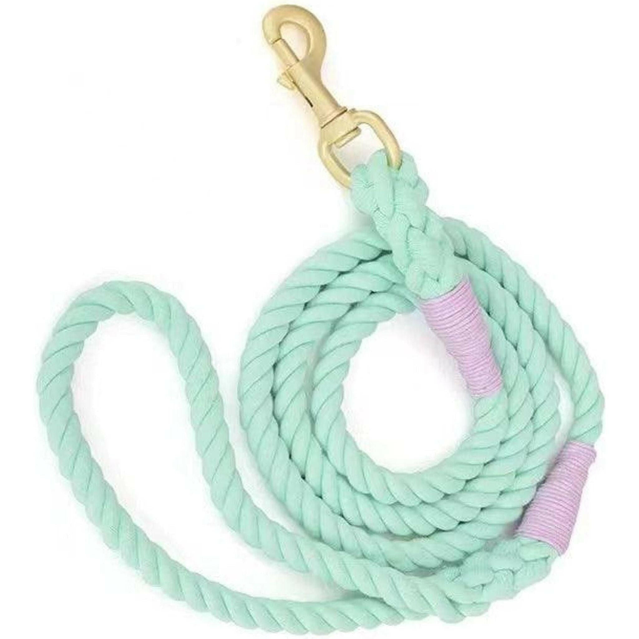 Dog Rope Leash - Mint Green.