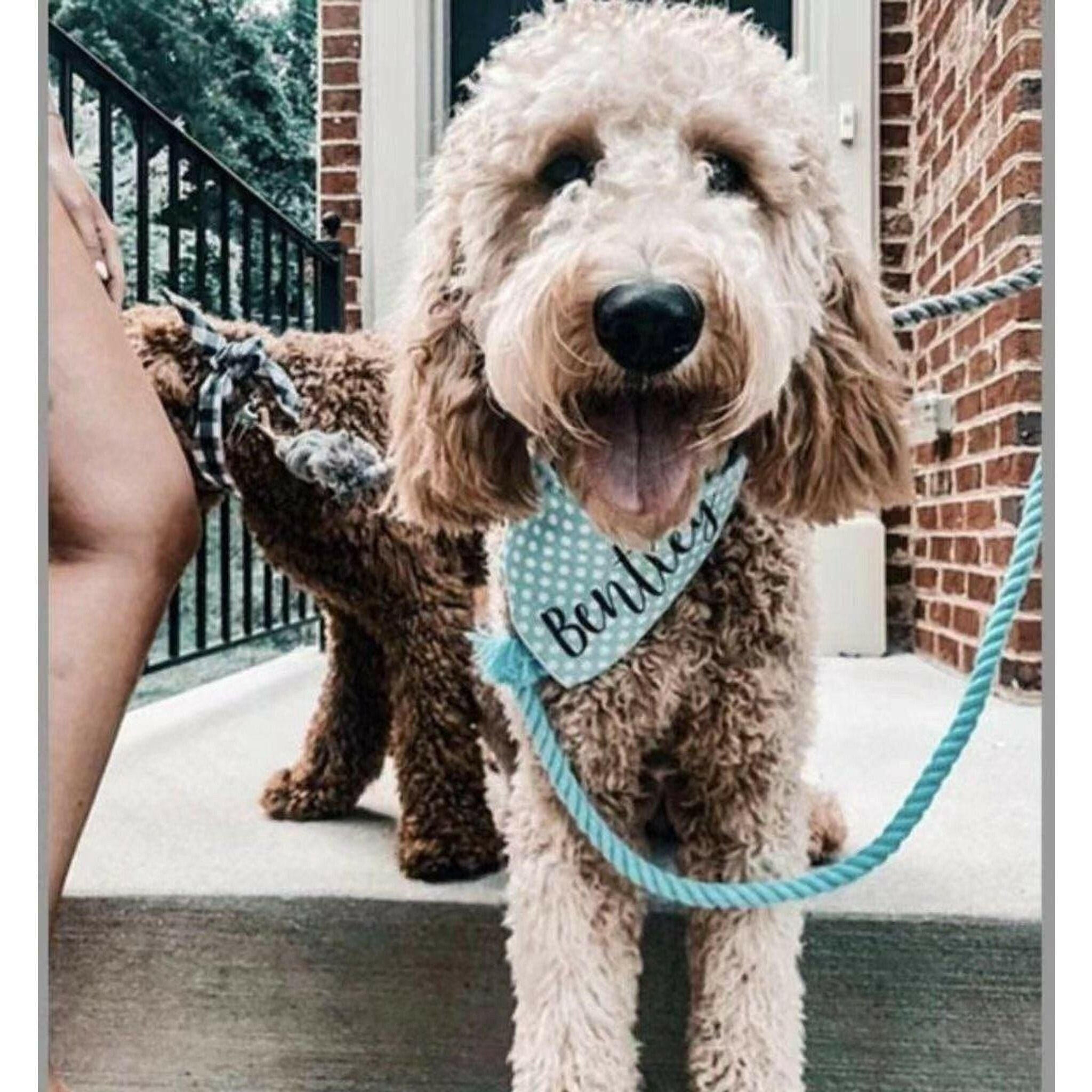 Dog Rope Leash - Mint Green.