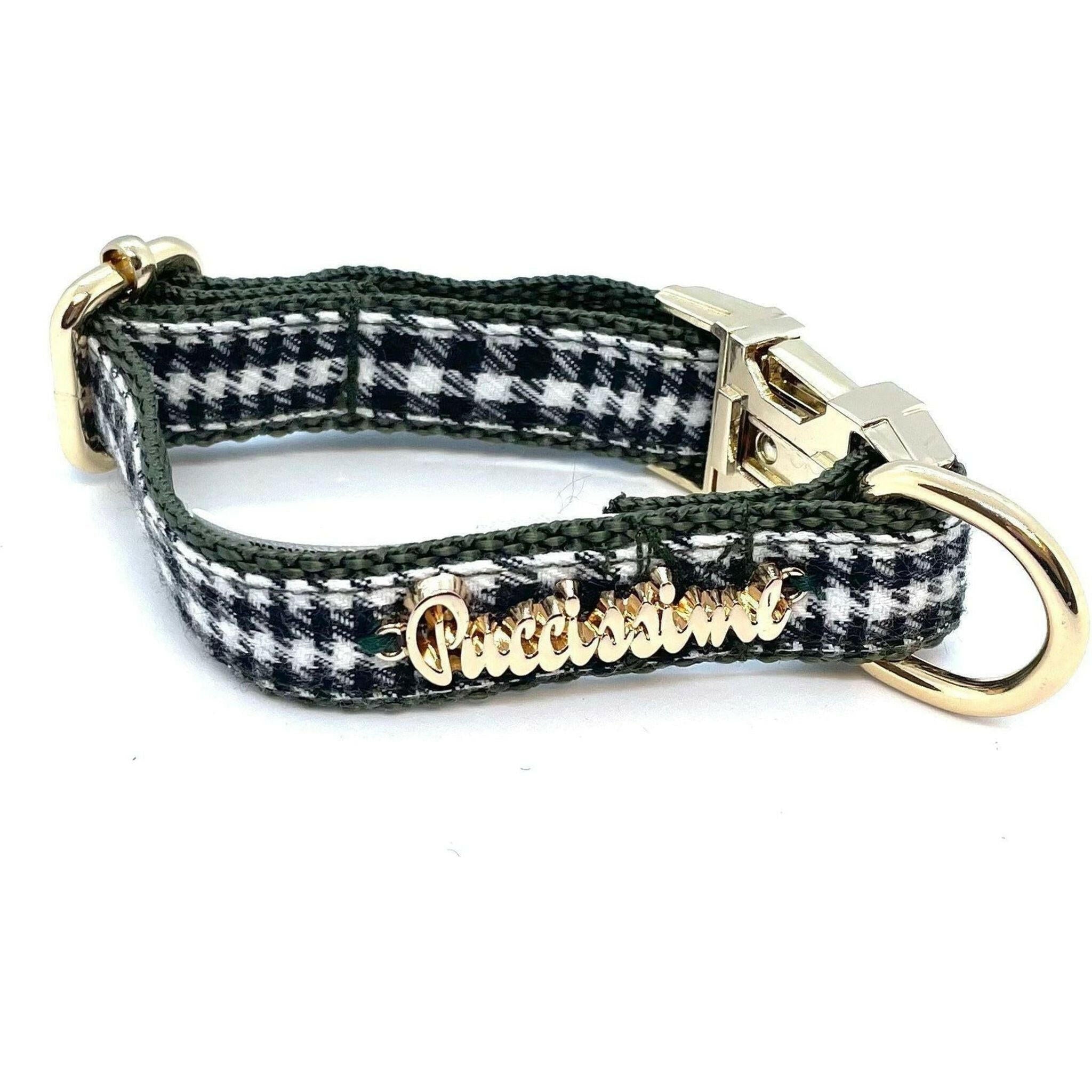 Fern Collar and Leash Set.