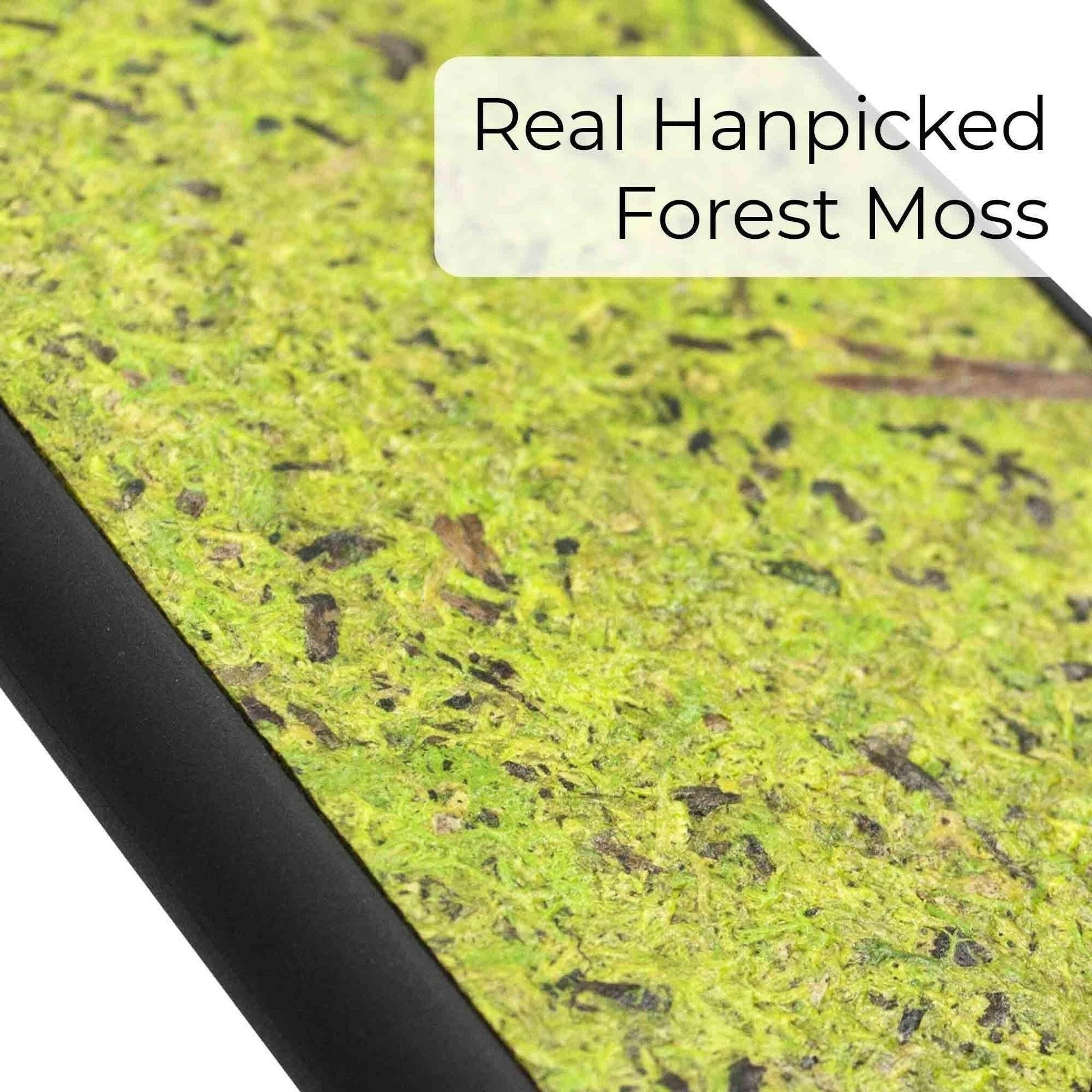 Forest Moss Phone Case.