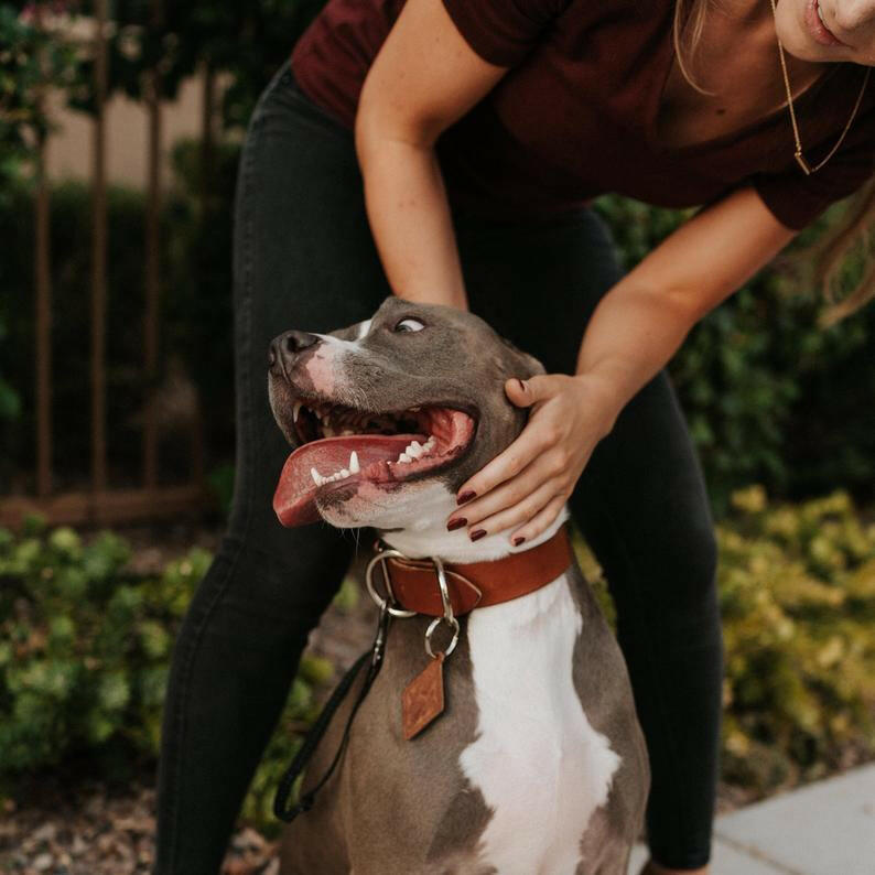 Classic Leather Dog Collars.