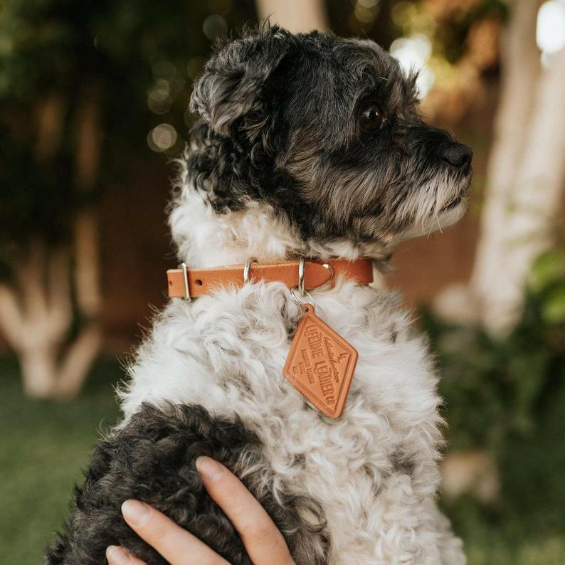 Classic Leather Dog Collars.