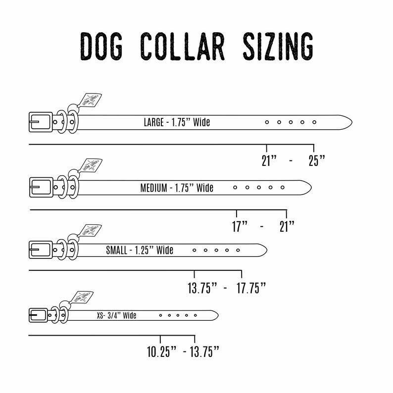 Classic Leather Dog Collars.