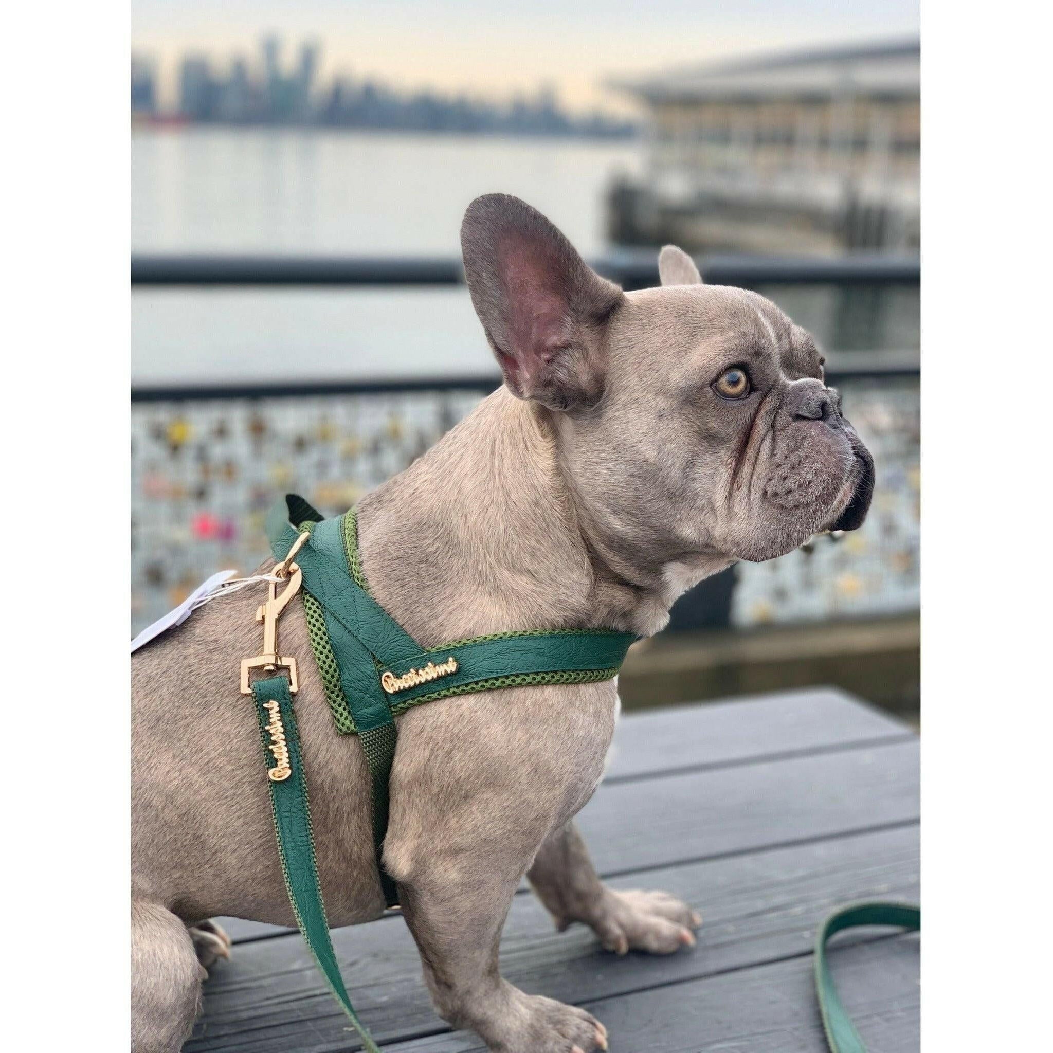 Jade One-Click Dog Harness.