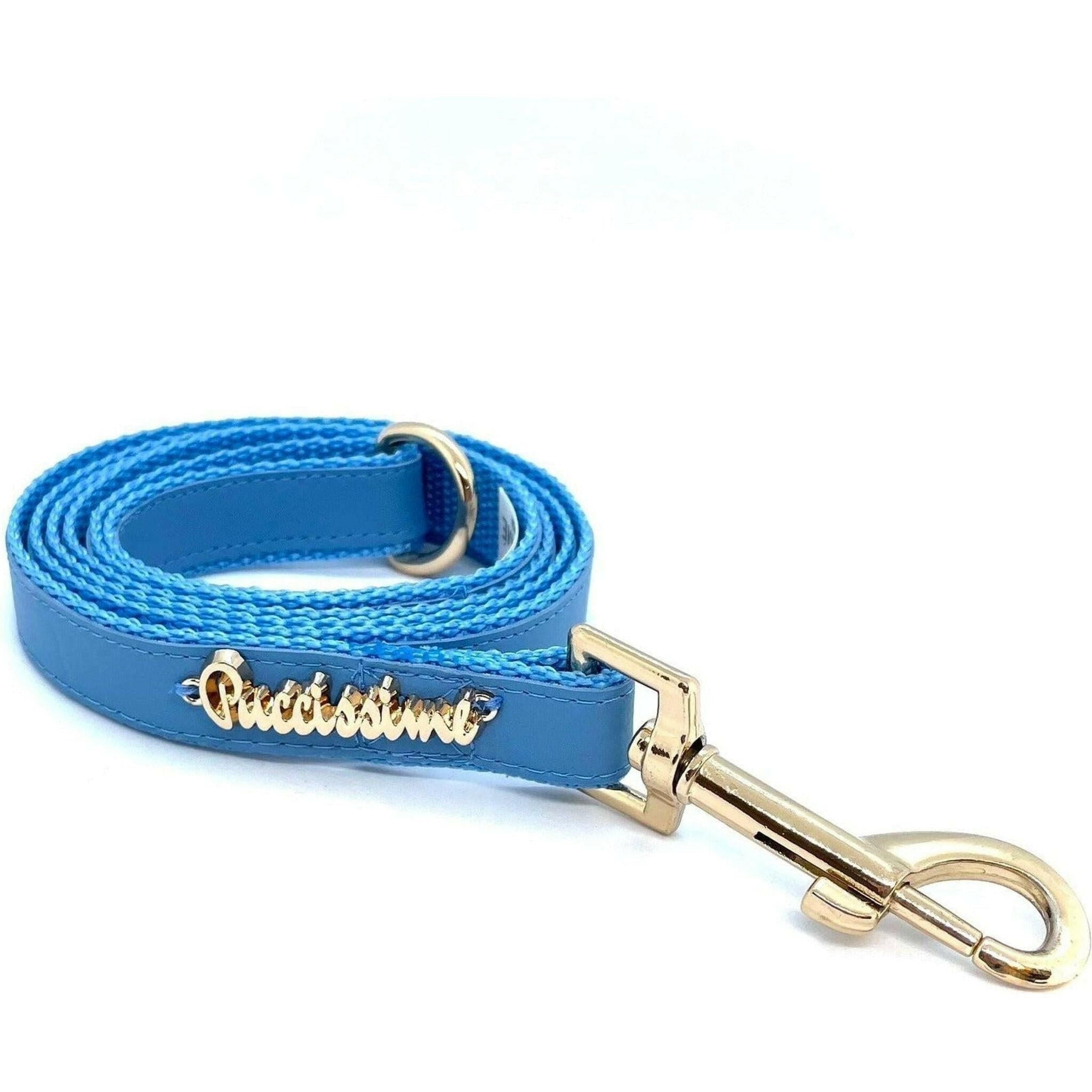 Maya Blue Leash.