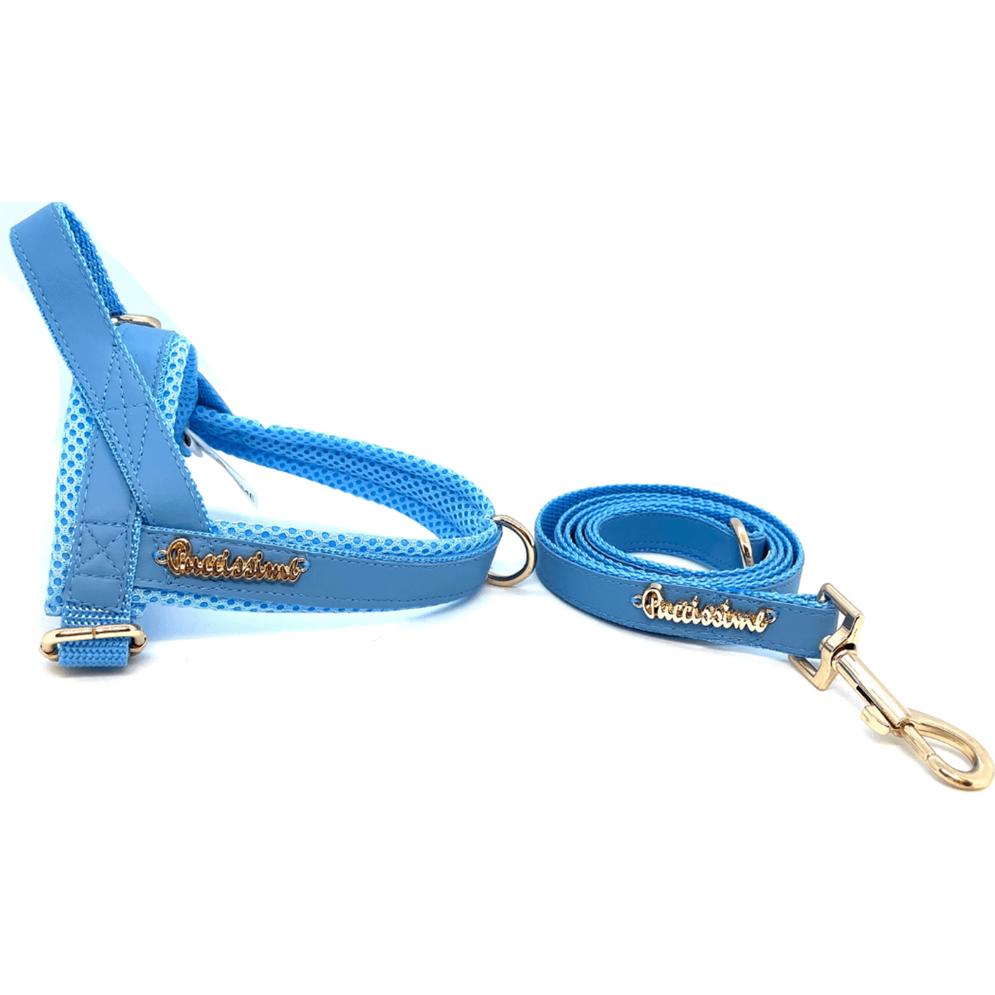 Maya Blue Leash.