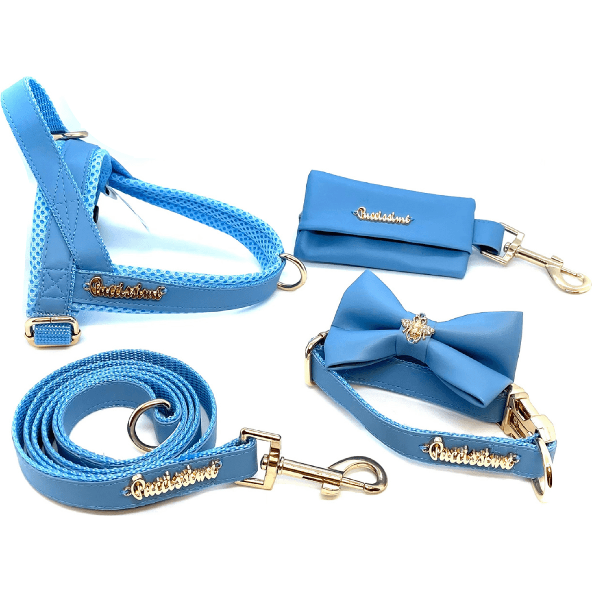 Maya Blue Leash.