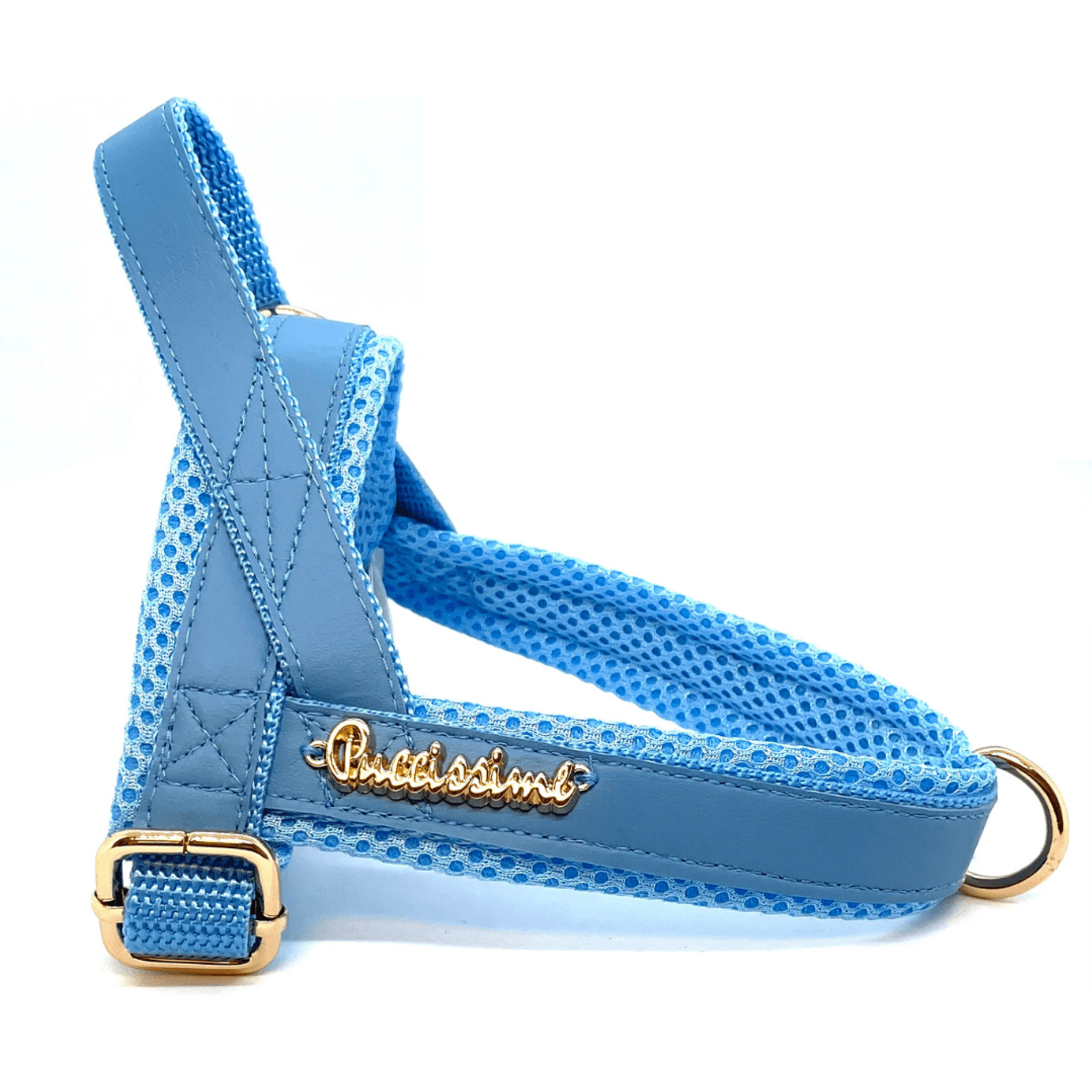 Maya Blue One-Click Harness.