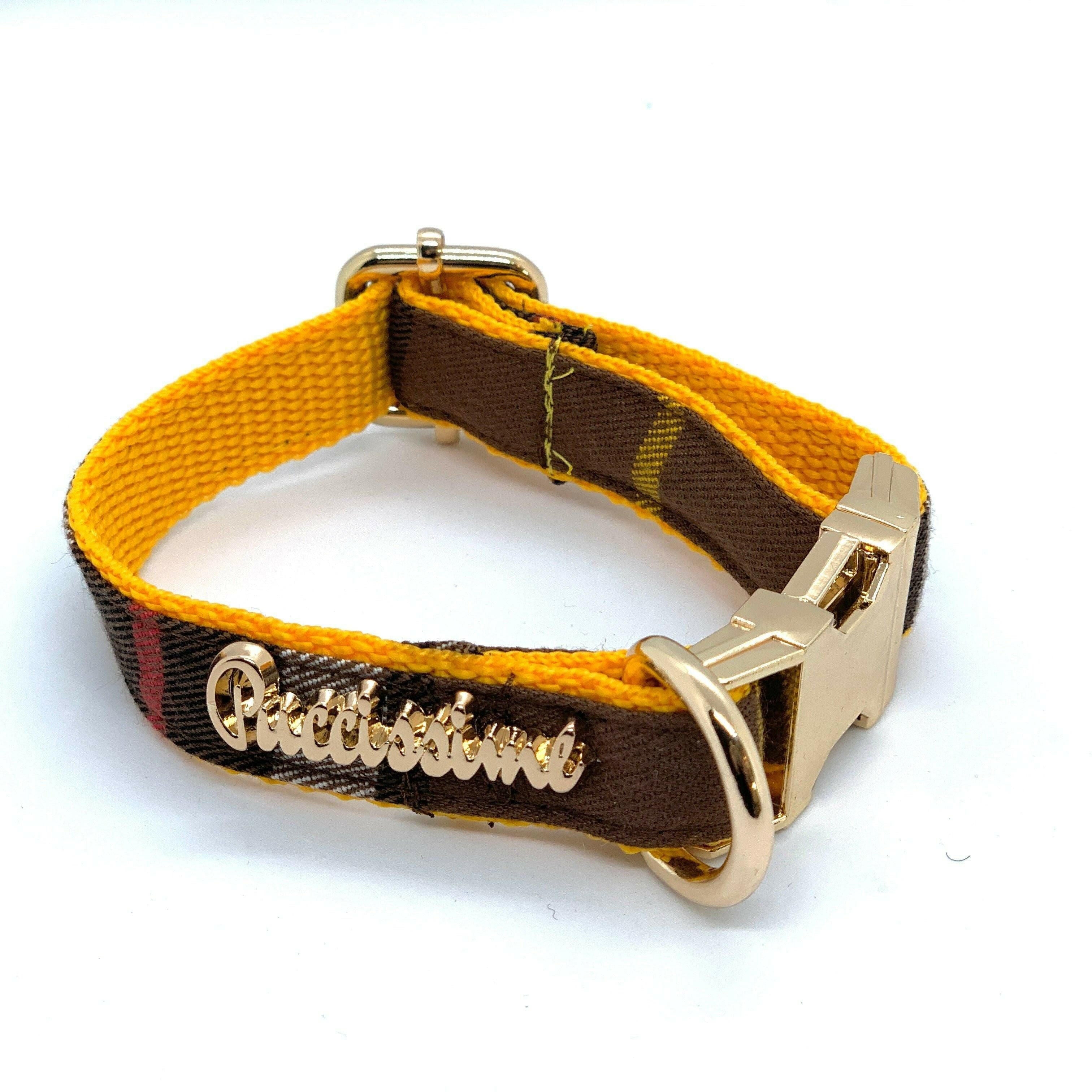 Medallion Dog Collar.