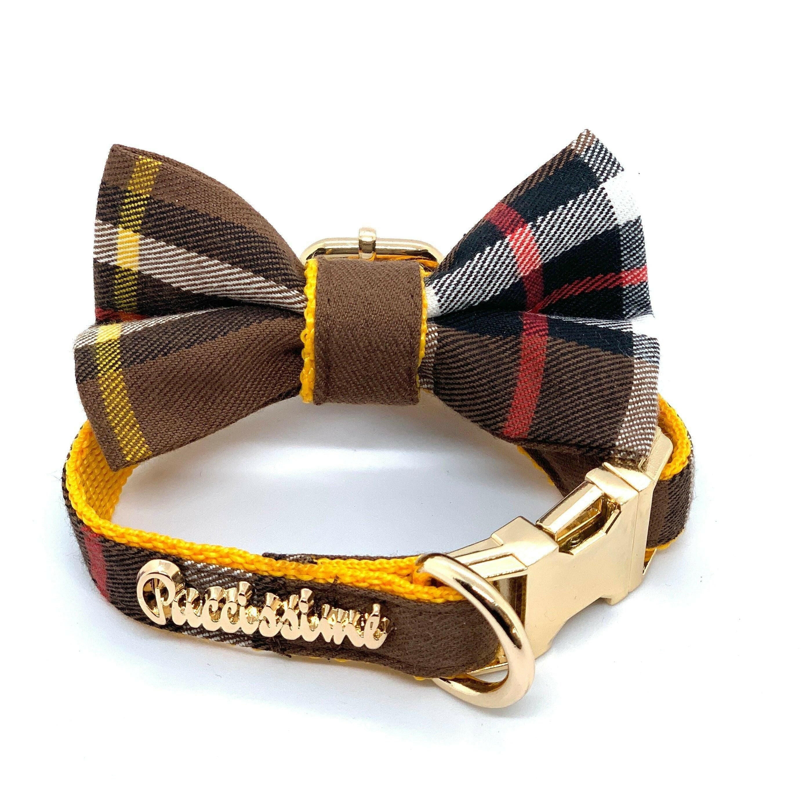 Medallion Dog Collar.