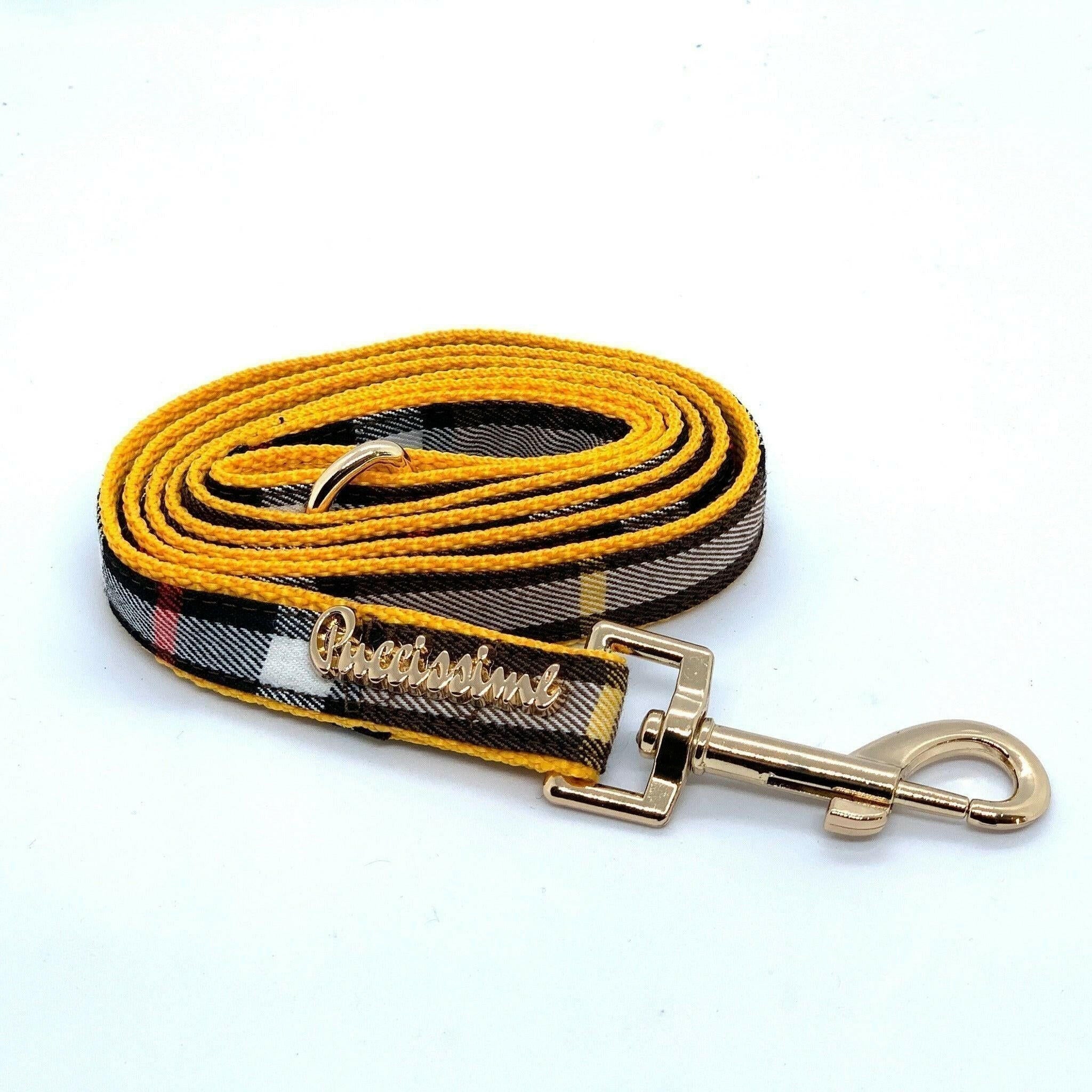 Medallion Dog Leash.