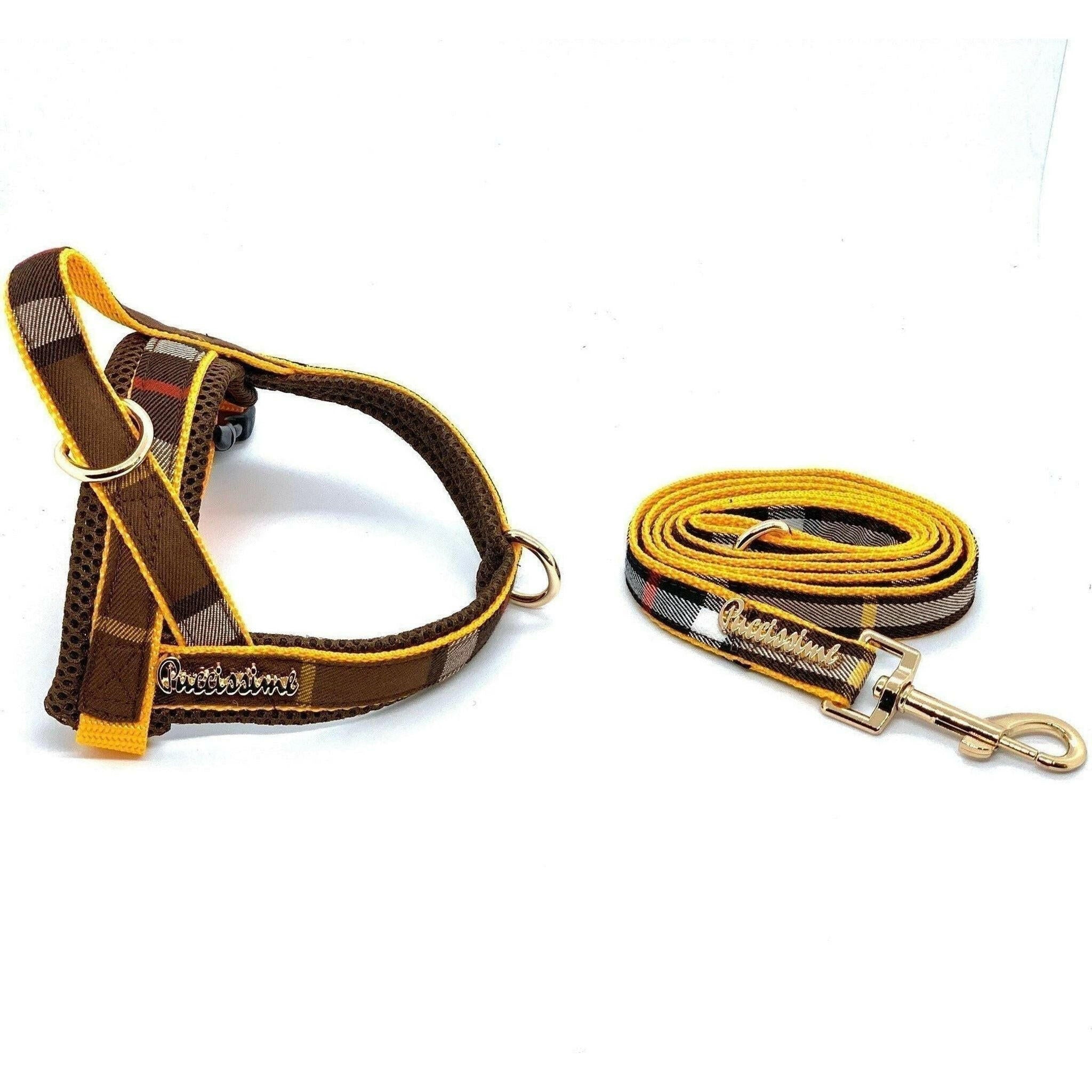 Medallion Dog Leash.