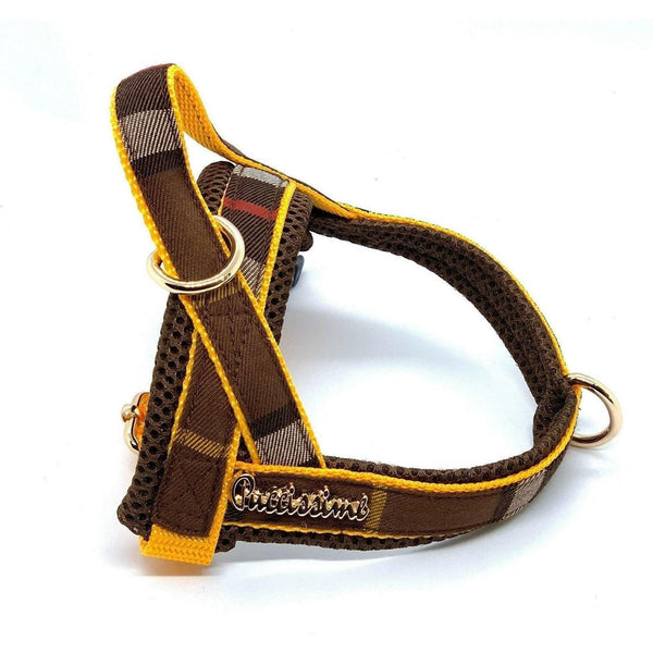 Medallion One-Click Dog Harness