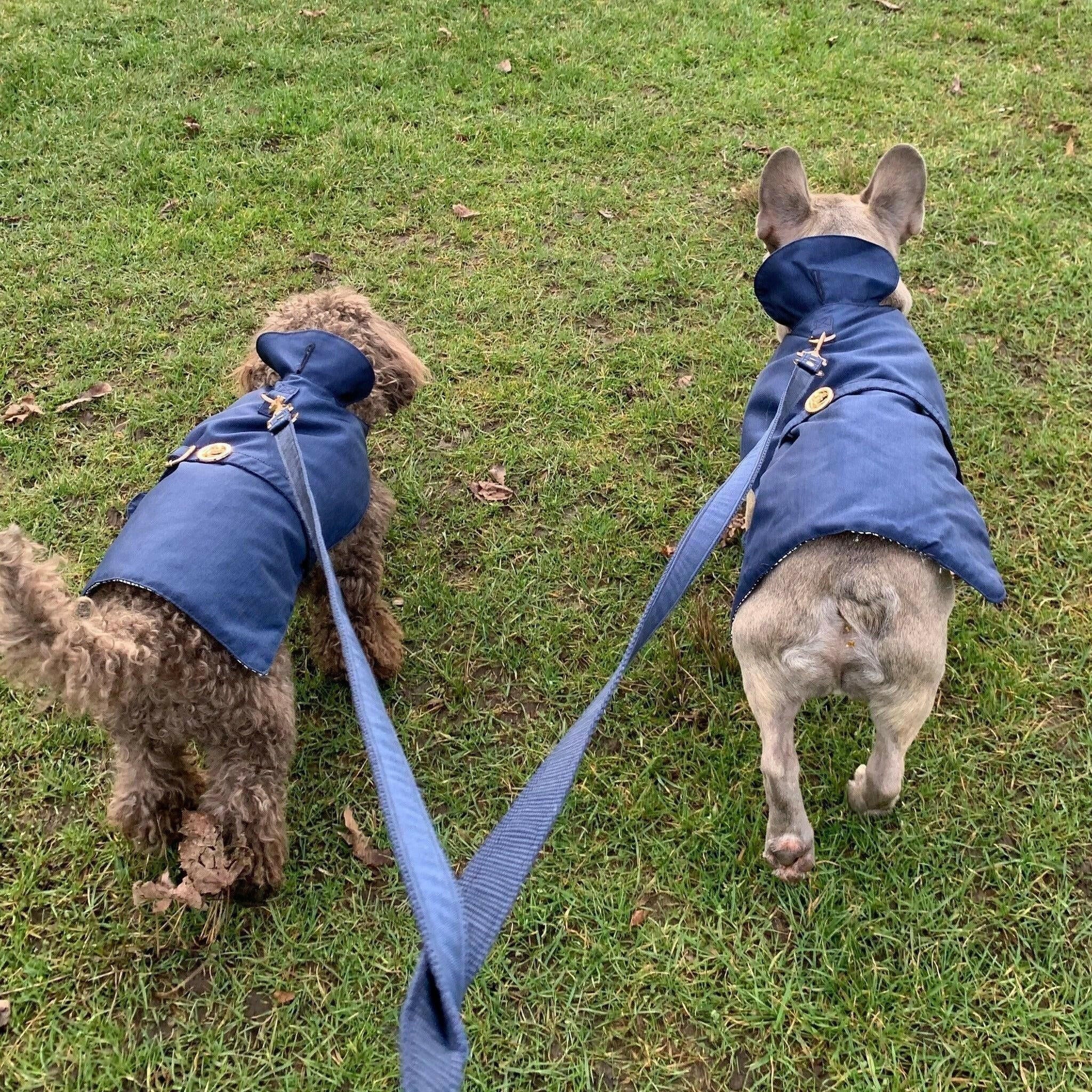 Navy Rain Matching Leash.