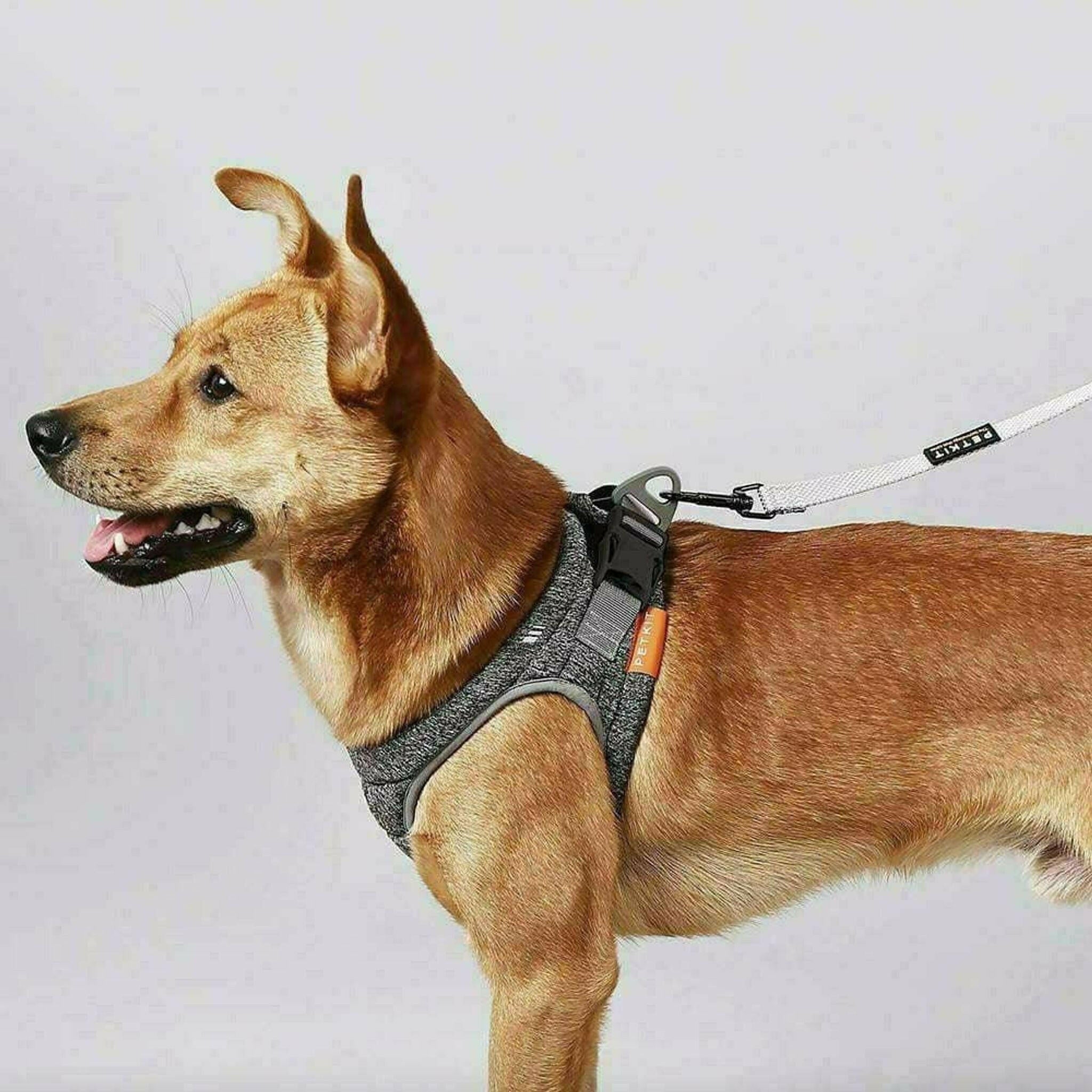 PETKIT Air Pro Dog Harness.