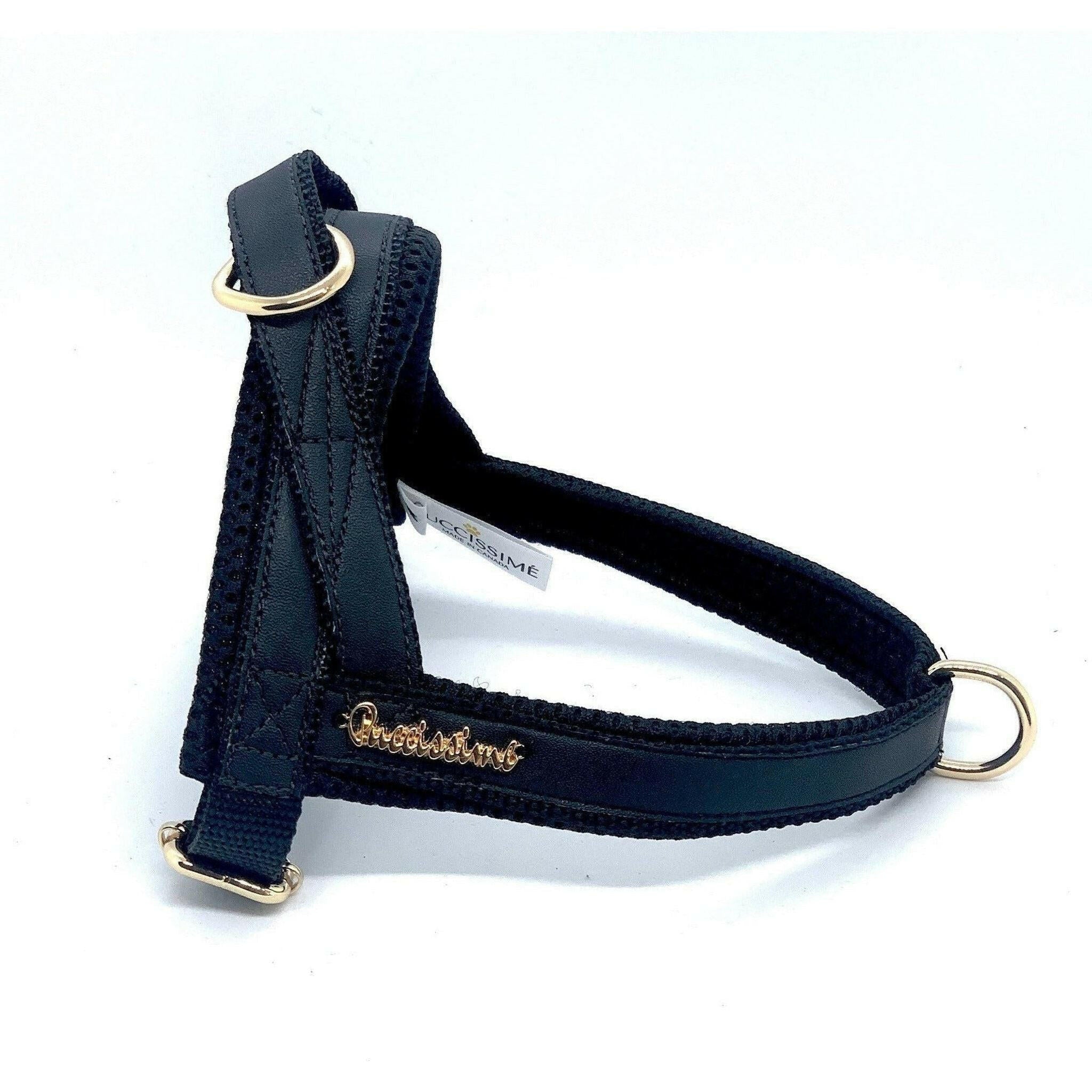 Raven One-Click Dog Harness.