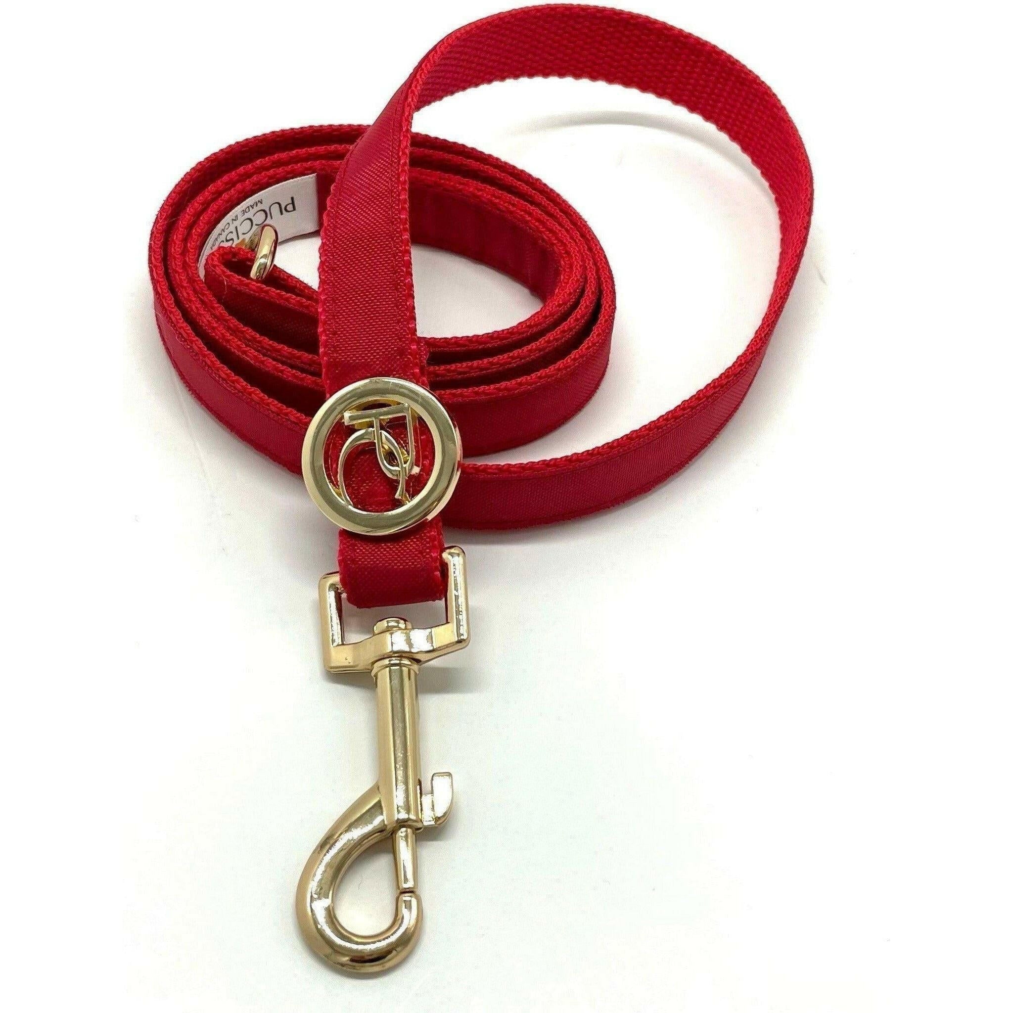 Red Rain Matching Leash.