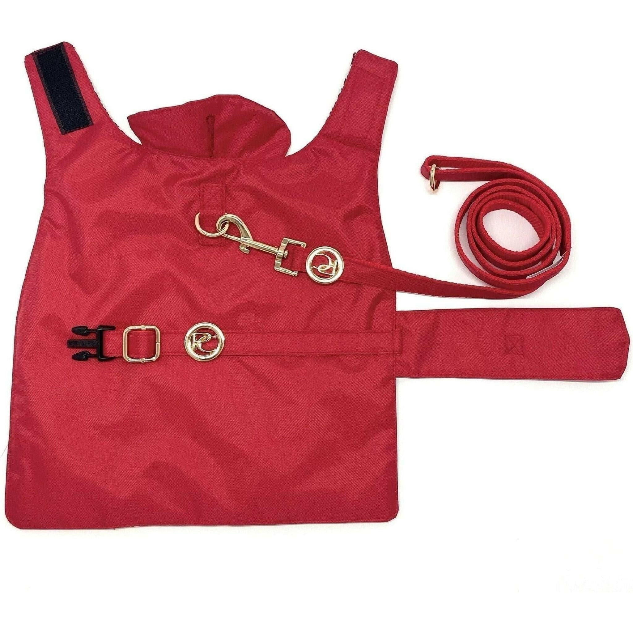 Red Rain Matching Leash.