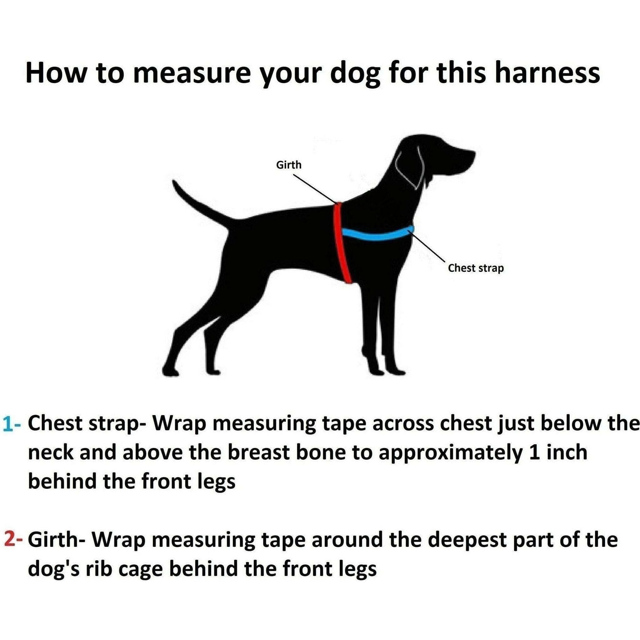 Scotland Tartan One-Click Harness.