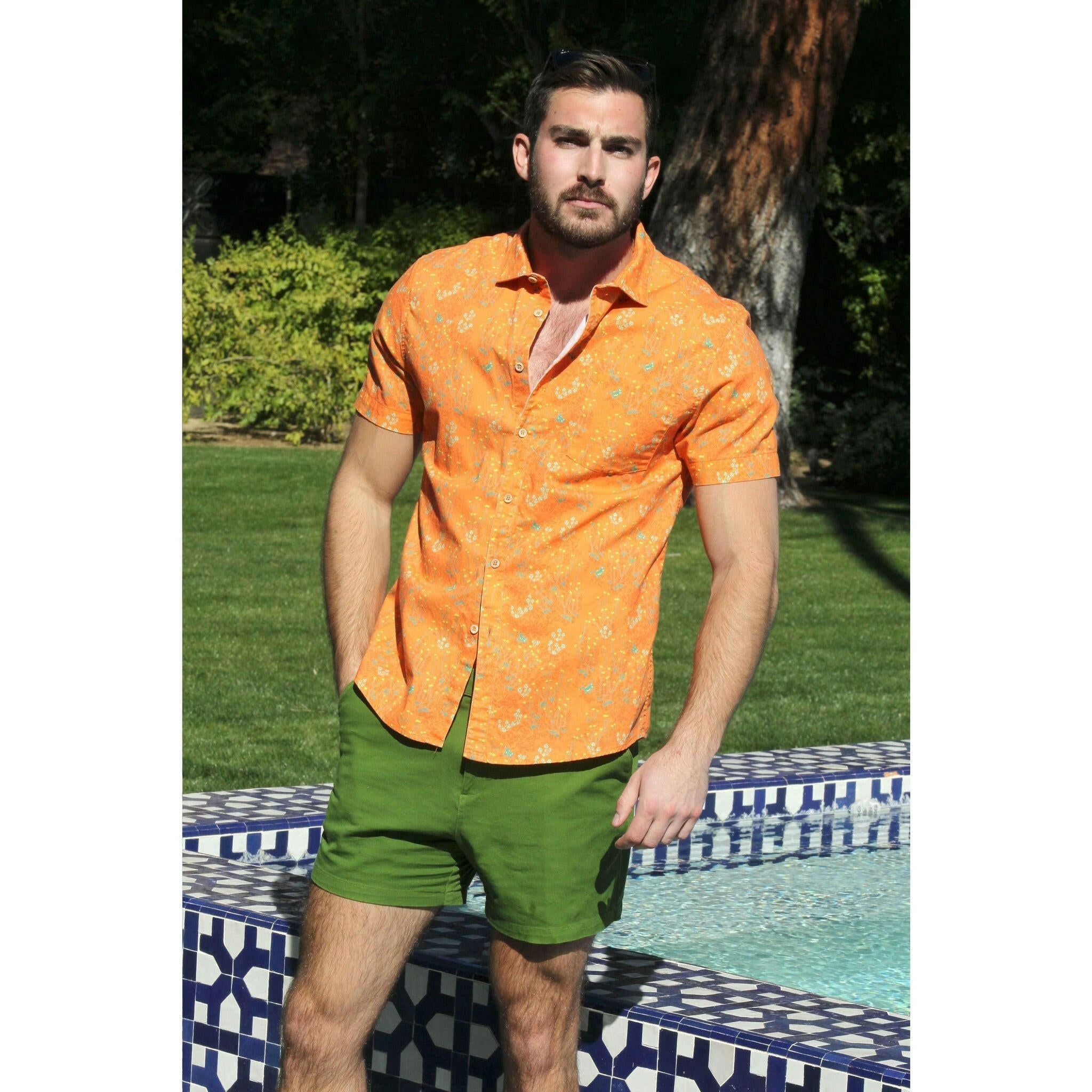 The Alicante Perfect Cut Short Sleeve Button-Down Shirt.